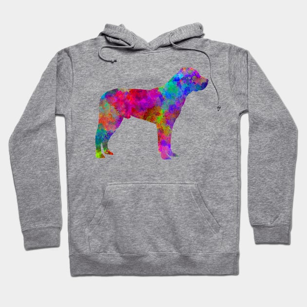 Great Swiss Mountain Dog in watercolor Hoodie by PaulrommerArt